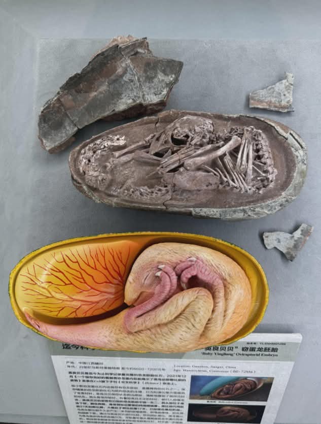 Archaeo - Histories tweet media