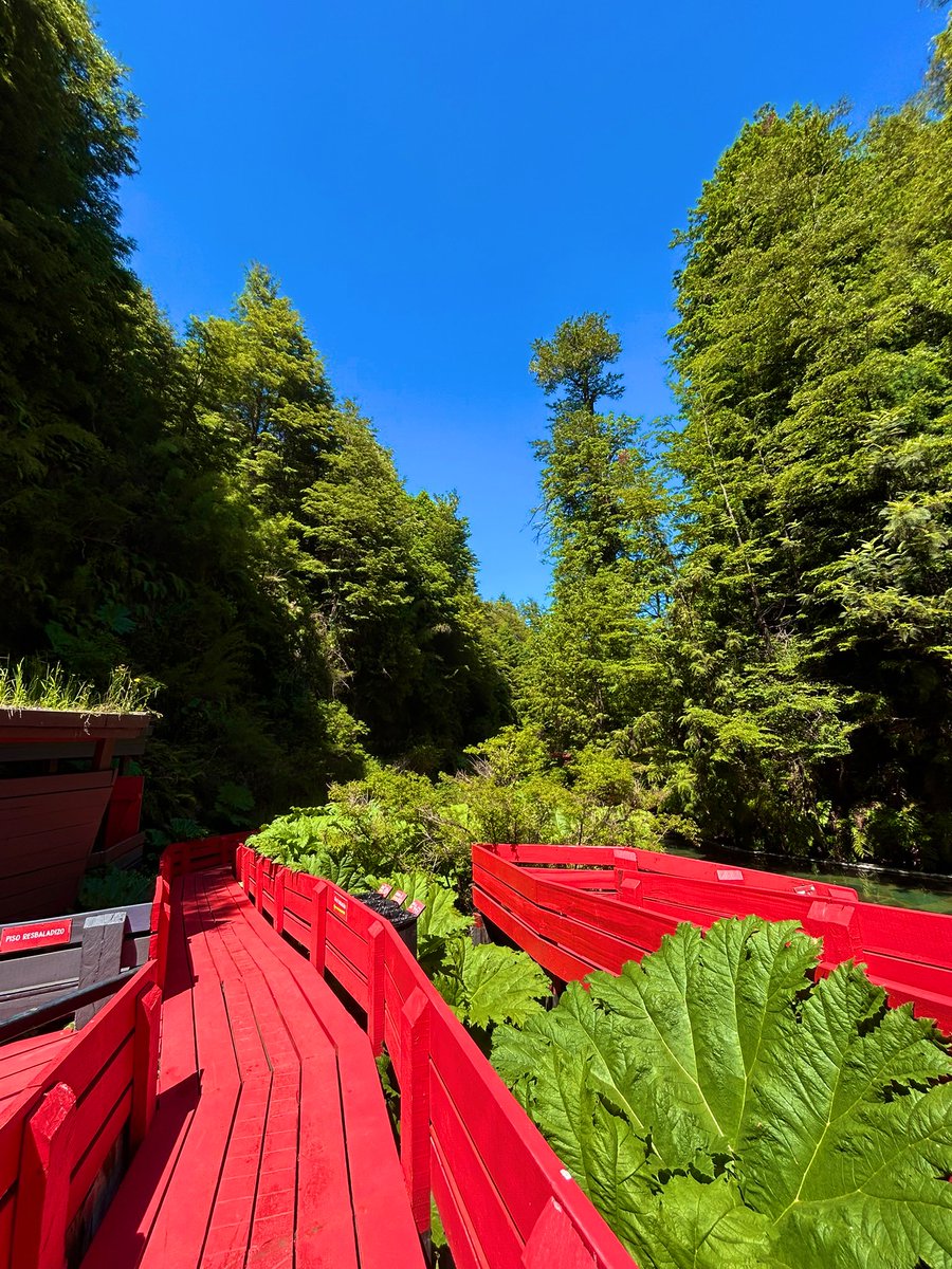 Michelle Blin L tweet media