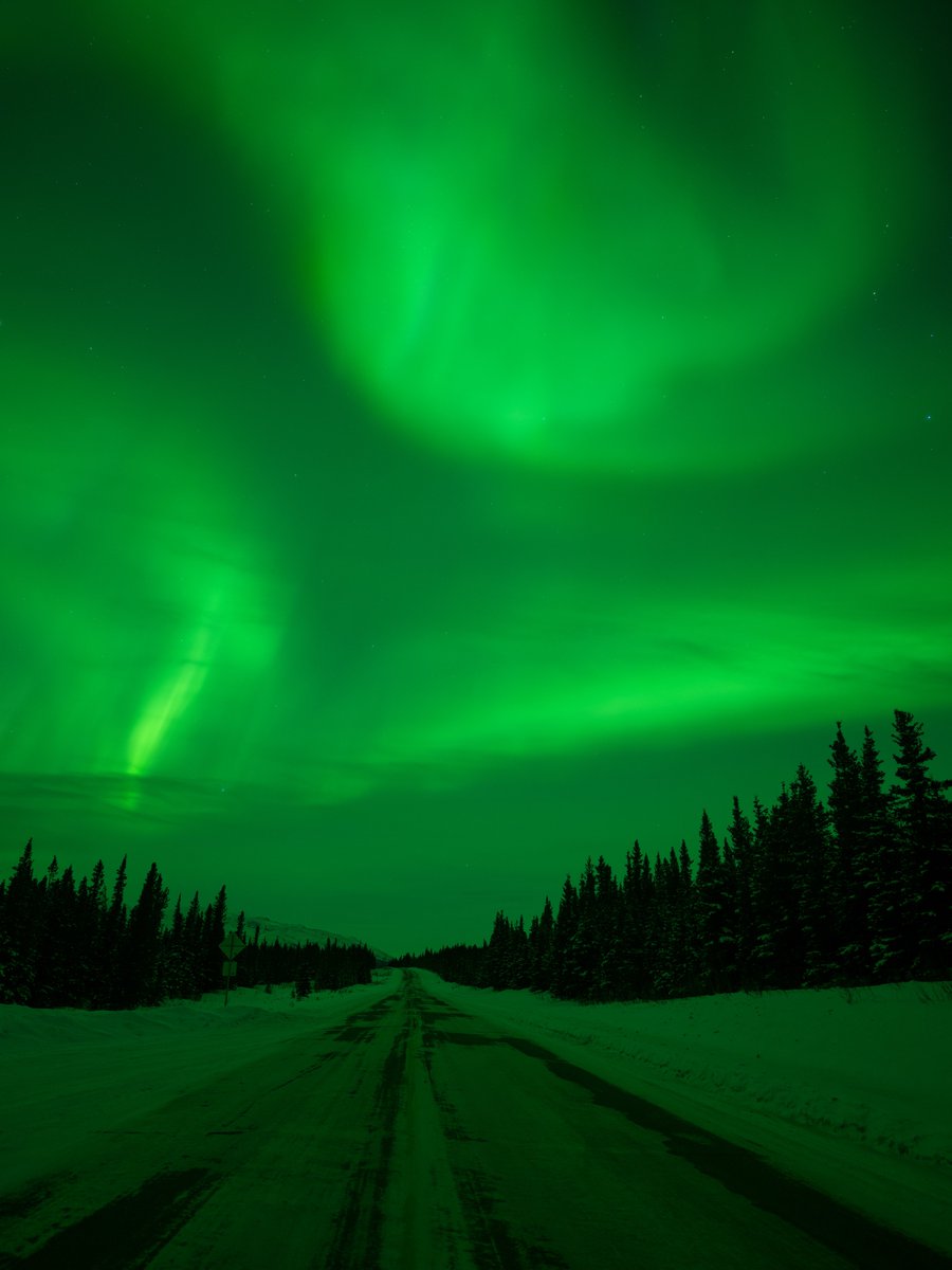 Vincent Ledvina tweet media