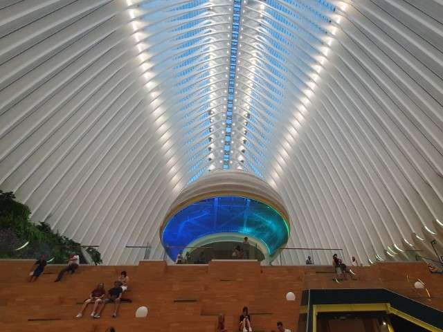 Bright Nomad ✈ tweet media