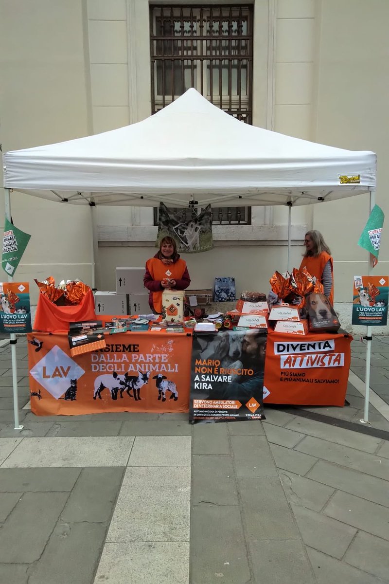 LAV Trieste tweet media