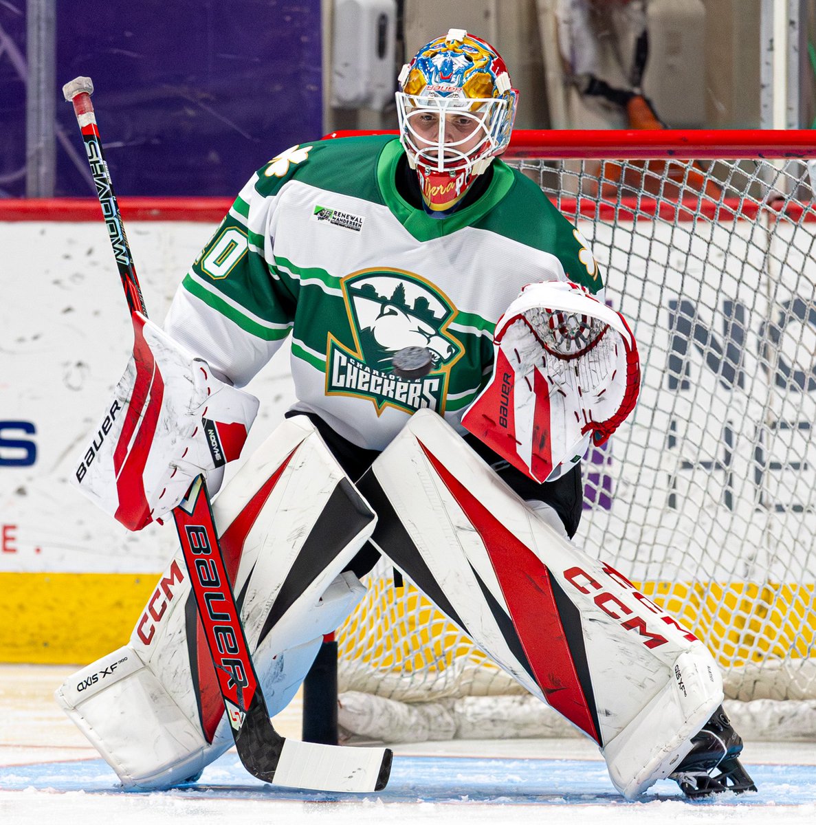 Charlotte Checkers tweet media