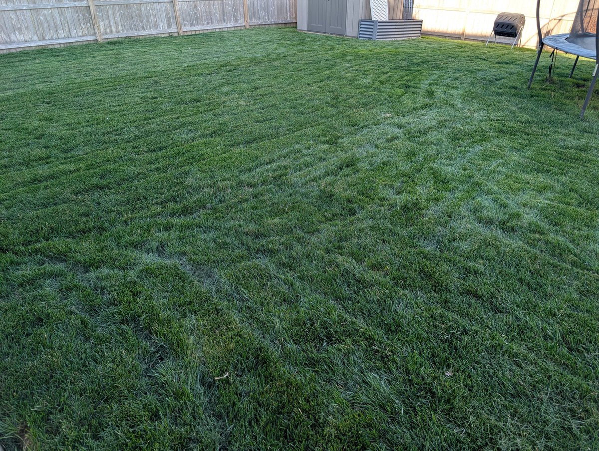 h00sier | DZ_Dad tweet media