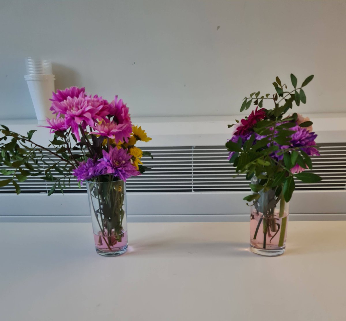 Good Shepherd Cork tweet media