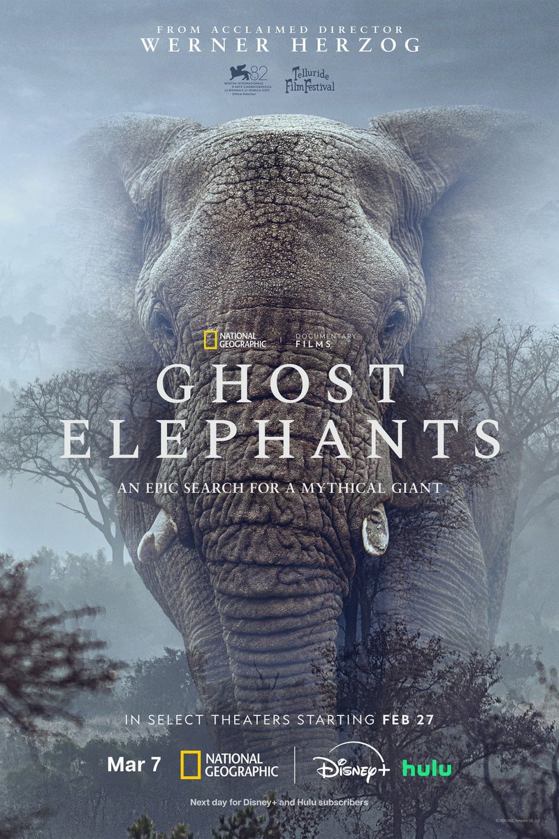 realinfocinema's tweet photo. Werner Herzog - Ghost Elephants (2025)
https://t.co/fVagqkgHyo https://t.co/OHV4kl5B4Z