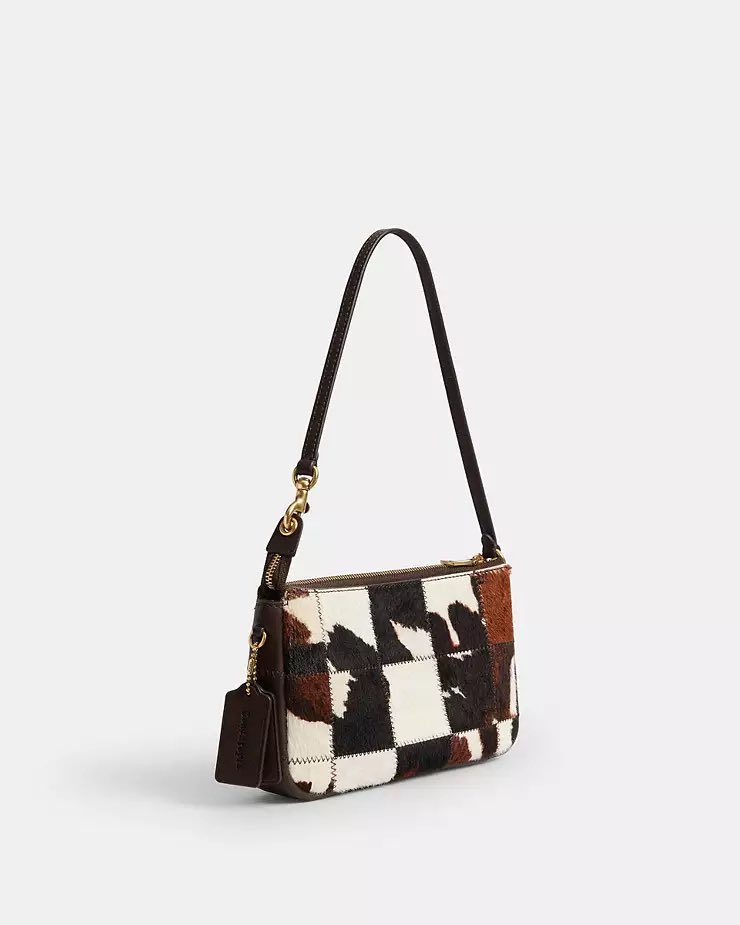 Coach bag concept image