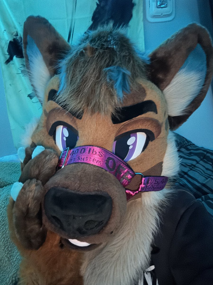 Ryker๐พ๐FWA tweet media