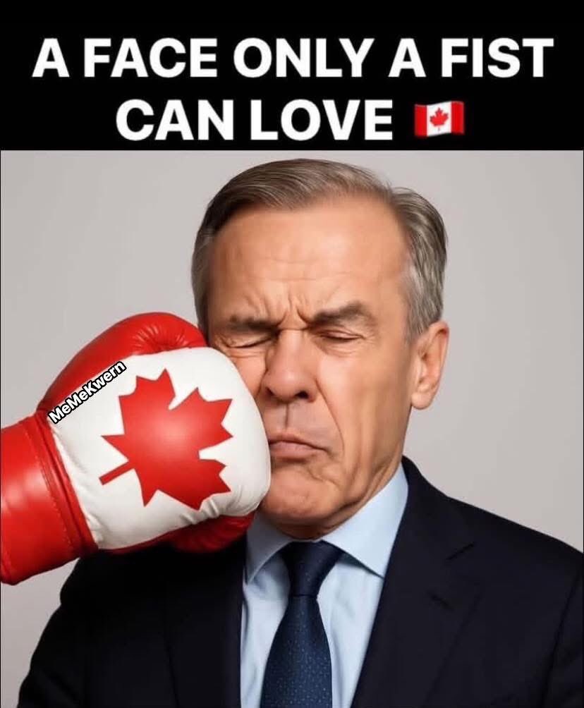 Barb Carrington tweet media