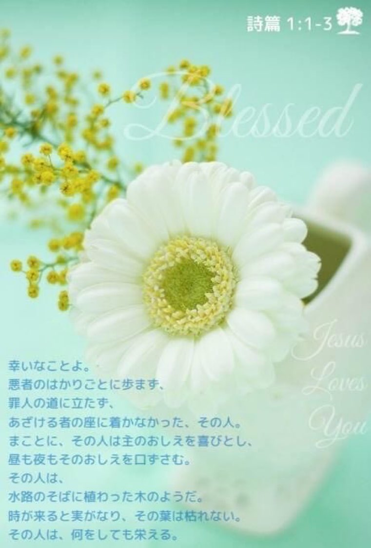 Love♡Jesus tweet media