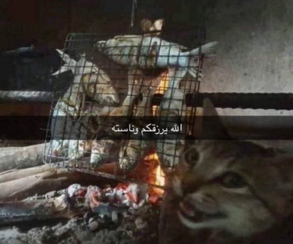 فيصل| Faisal tweet media