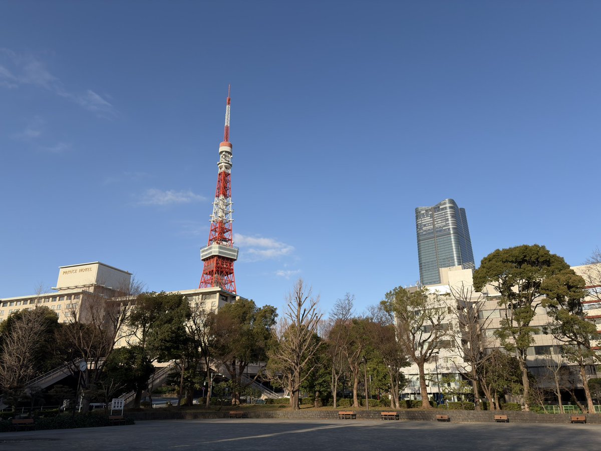おはタワー🗼

#東京タワー #また来た