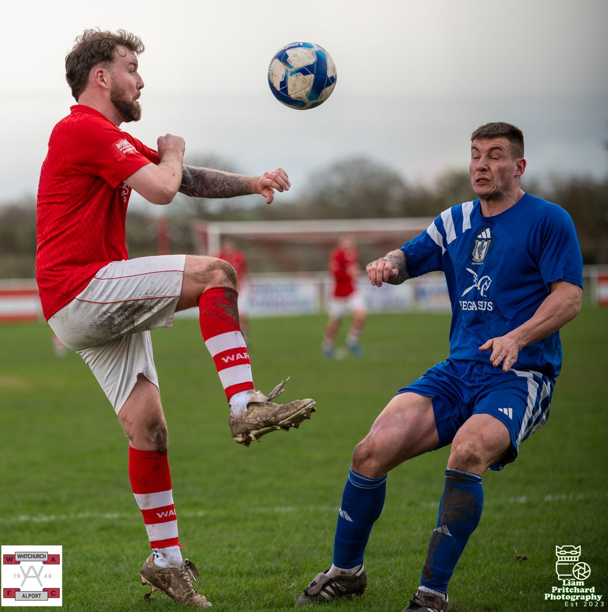 Liam Pritchard Photography tweet media