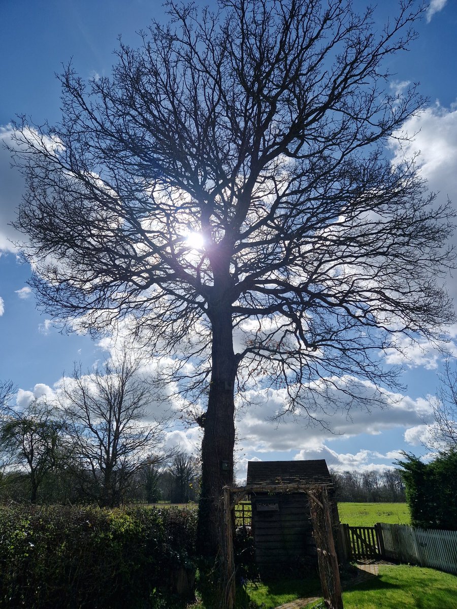 Schwims 💙 tweet media