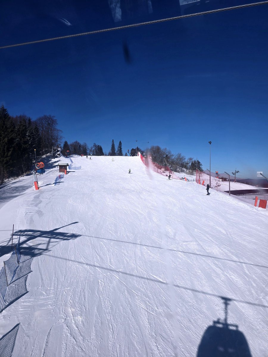 olyapka (Proud Ambassador of Barsik) tweet media