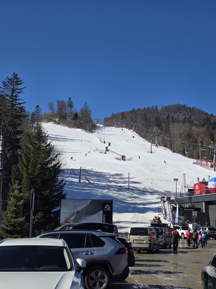 olyapka (Proud Ambassador of Barsik) tweet media