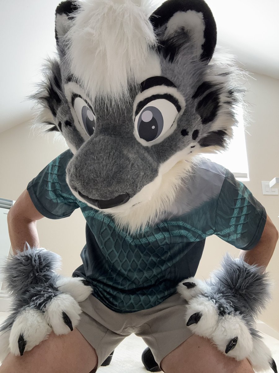 ❄️Selinar Snowcat❄️☃️ tweet media