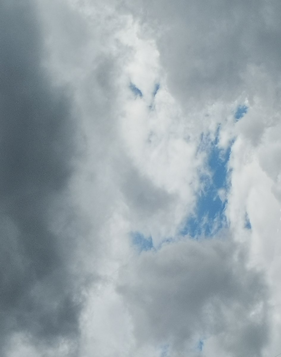 Bertrand_new tweet media