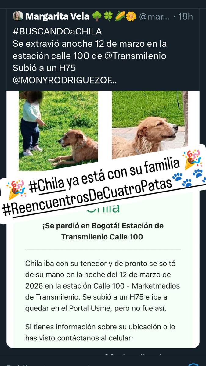 margaritavela's tweet photo. 🥳Buenas noticias
🎉🎊#Chila ya se encuentra a salvo, con su familia🎊🎉
@MONYRODRIGUEZOF
@TransMilenio
@losbuscamos_col
@CamiloJaramill
#ReencuentrosDeCuatroPatas🐾🐾 https://t.co/ALNayeSnYc