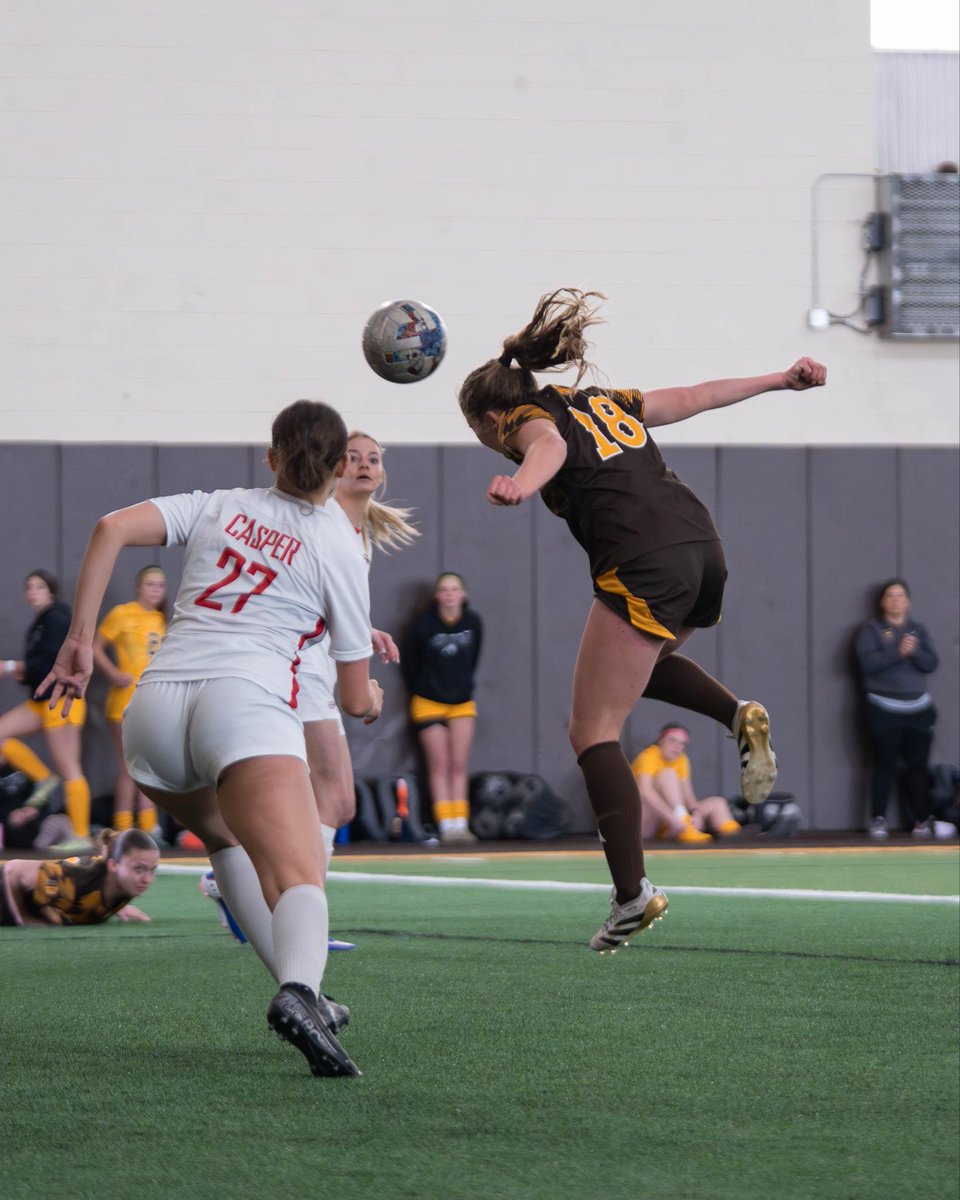 Wyoming Cowgirl Soccer tweet media