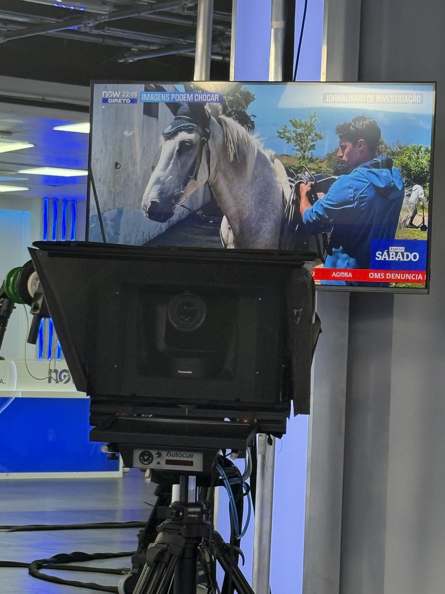 Inês Sousa Real tweet media