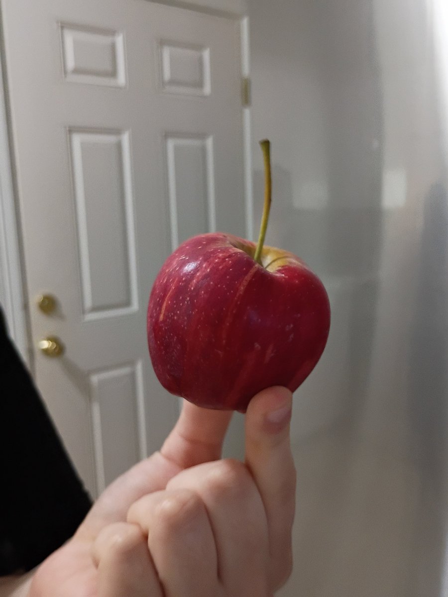 Maddox .°• 🗡️ MCR 9/12 tweet media