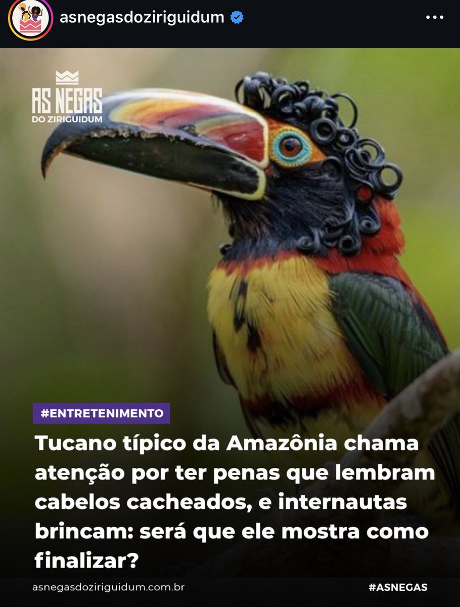 O tucano sabe finalizar e eu não 🫩🫩