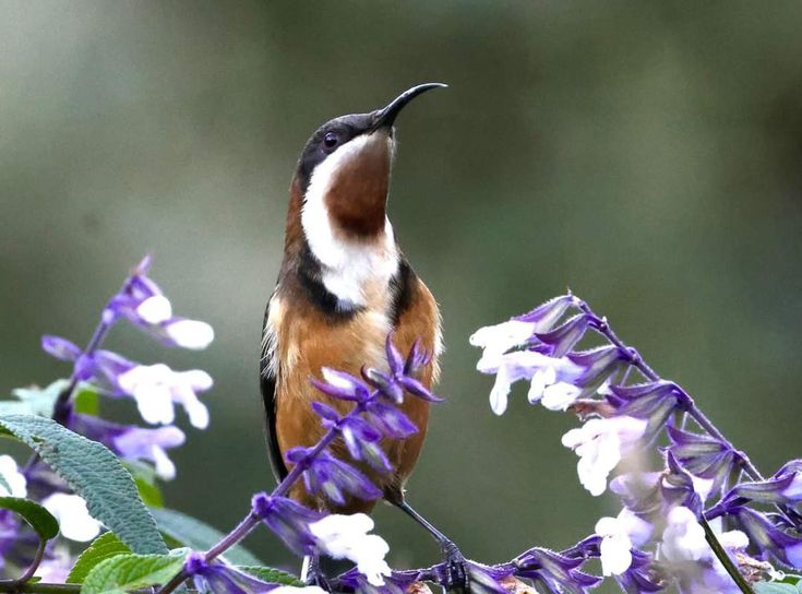 <a href="/RobertoW241431/">Roberto</a> <a href="/StQrFlQWer/">Star Flower</a> <a href="/MoonWalker0Q/">moon walker</a> <a href="/luis_montesinos/">Luis Miguel Clavijo 🇪🇸💚 🇪🇦</a> <a href="/omer_eskshr/">tireliim...</a> <a href="/BM7NOGO/">Pak BM ( Lottung Marsada🇮🇩</a> <a href="/LuisaVert/">@LuisaVert stand with Yisrael ❣</a> <a href="/rob_whiteboy/">Robert James</a> <a href="/UCxmn/">𝒂𝒄𝒕𝒊𝒗𝒆 🇺🇸</a> <a href="/scripturefirst/">Lady Squatch</a> <a href="/nena_bovb51/">Nena</a> <a href="/CarlosOchoa_G2/">Carlos 2</a> <a href="/NM1k_/">༺ 💎𒆜𝑵𝑬𝑬𝑵𝑨𝑯𒆜💎 ༻</a> <a href="/CayoPiedra3/">QR</a> <a href="/AnthonyJdango/">Anthony Stefhens</a> <a href="/DavidSolom82677/">SOLOMON OF ABUJA 🤴</a> <a href="/LaDelichieuse/">Ольга ✿ Olga 🇫🇷</a> <a href="/EmmanuelEk21172/">Nuel 🧃</a> <a href="/michael_ti97679/">Der Sockenverkäufer</a> <a href="/Ilomaus1966/">Ilona 💙🎗️</a> Enjoy your  restant of Saturday &amp; W;End  dear friends to you all wth. Peace ,joys nd Well Blessings 😊🎀💖👠