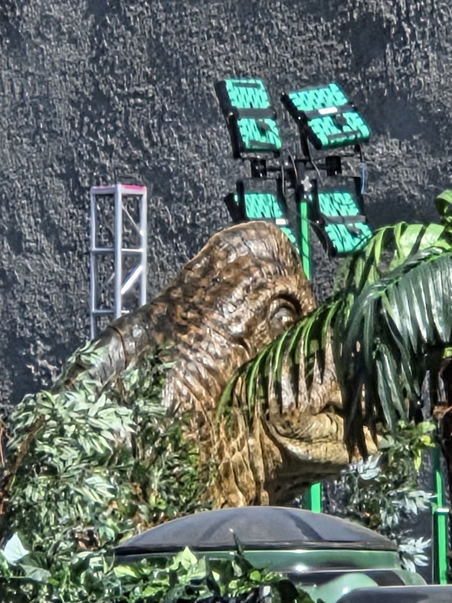 🦖 🦍 MEGA FAN 🐙 tweet media