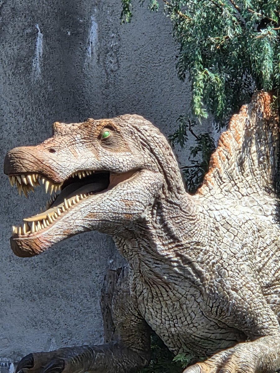 🦖 🦍 MEGA FAN 🐙 tweet media