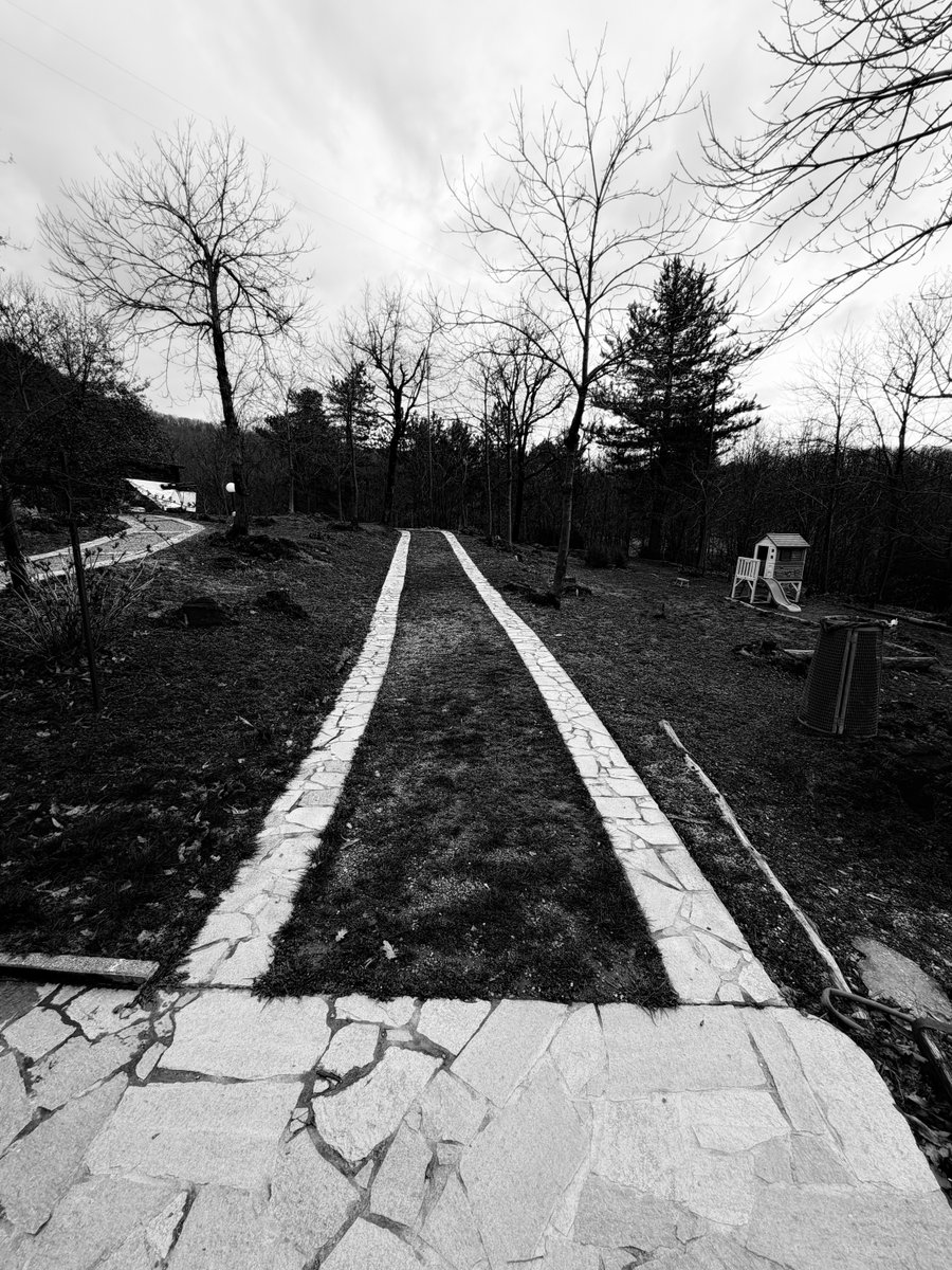 Alonein43672278's tweet image. #photography #blackandwhite #path #trees