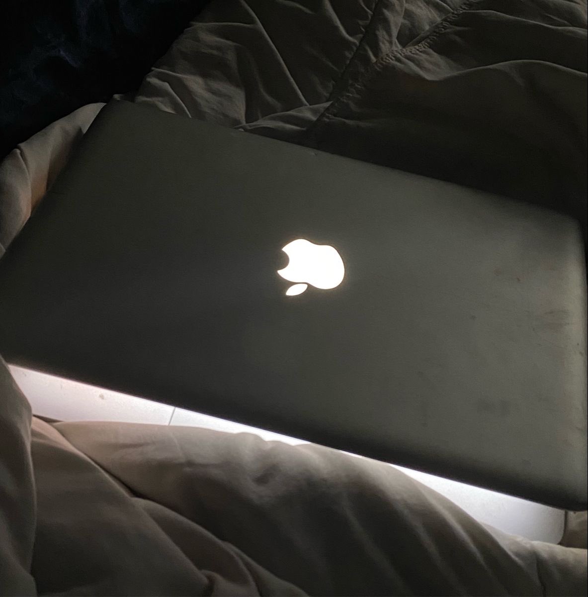 pinkglitterie's tweet photo. Remember when the apple used to glow https://t.co/ksUjMs0gQ6