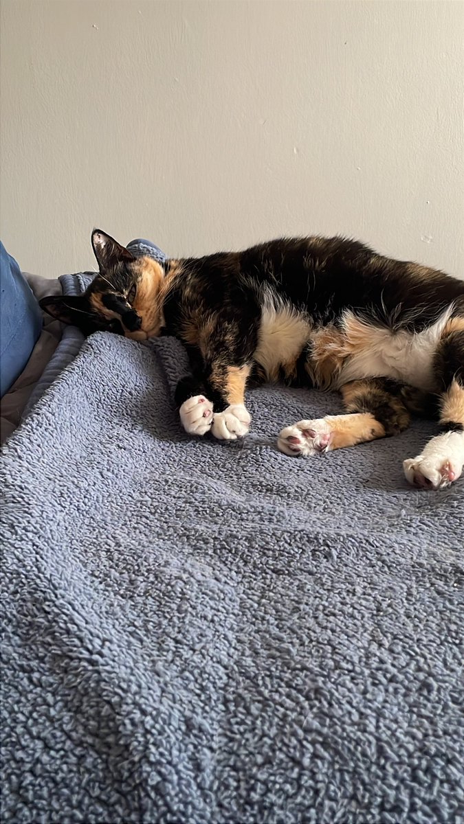 E.L. Chandler tweet media