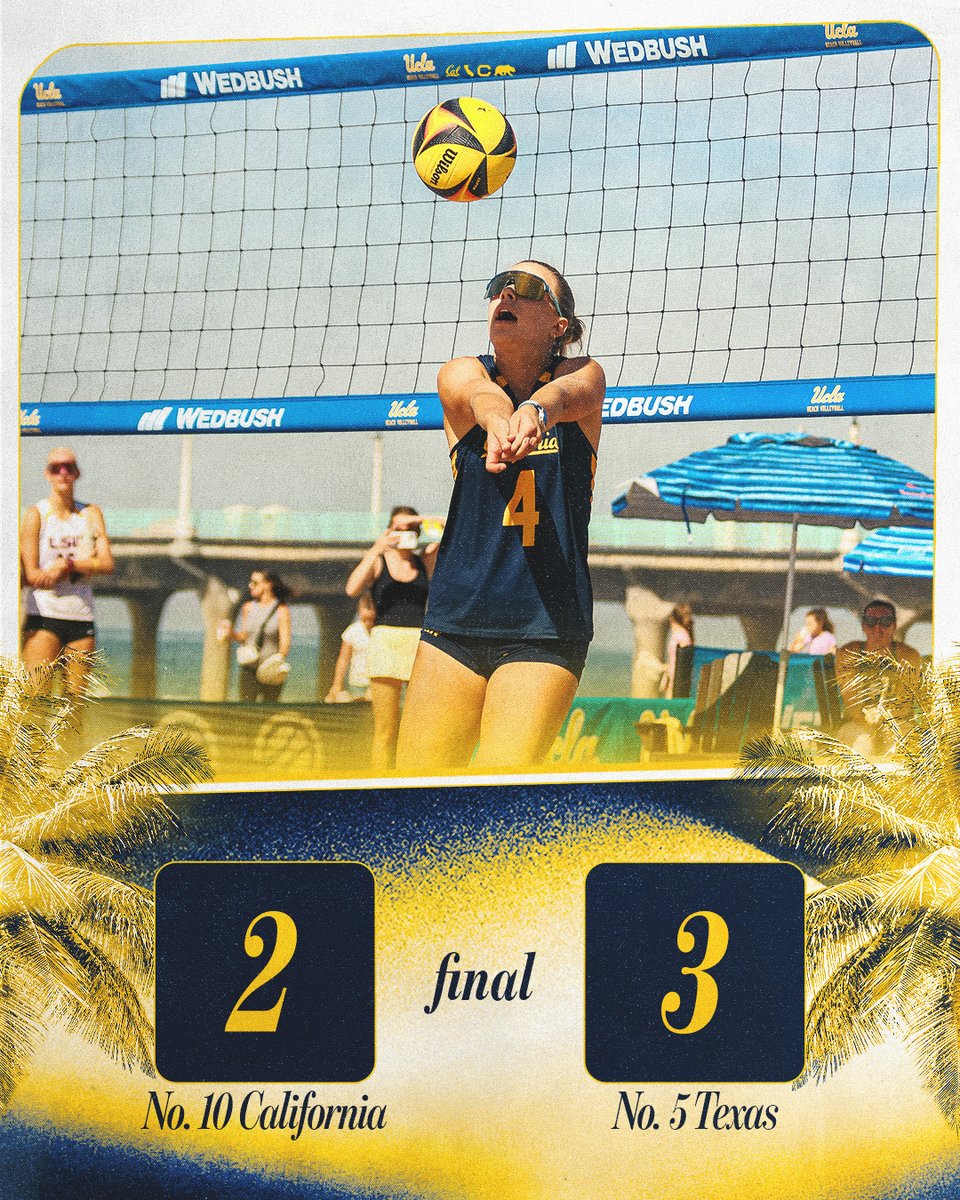 Cal Beach Volleyball tweet media