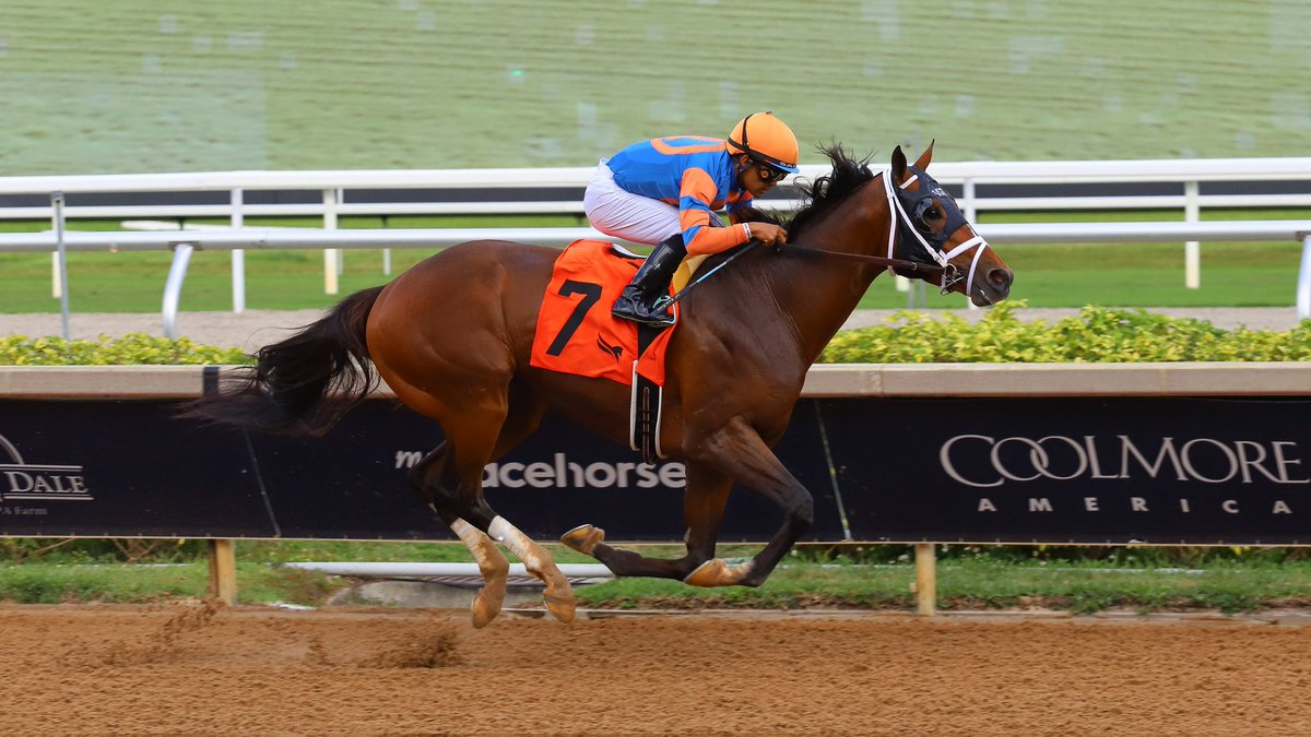 Vibe delivers in the 11th race, <a href="/luissaezpty/">Luis Saez</a> rode for trainer <a href="/PletcherRacing/">Todd Pletcher Racing Stables</a>, owners <a href="/RepoleStable/">Repole Stable</a>, <a href="/westpointtbred/">West Point Tbred</a> , CJ Stables, <a href="/woodfordracing/">Woodford Racing</a>, <a href="/LanesEndFarms/">Lane's End</a> and Patrick McGee, and breeder Repole Stable. #GulfstreamPark #ChampionshipMeet