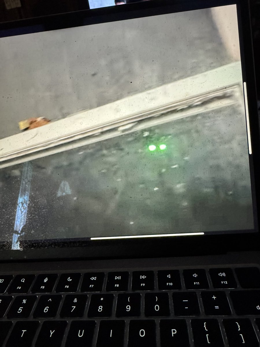 Zachary Thomas tweet media