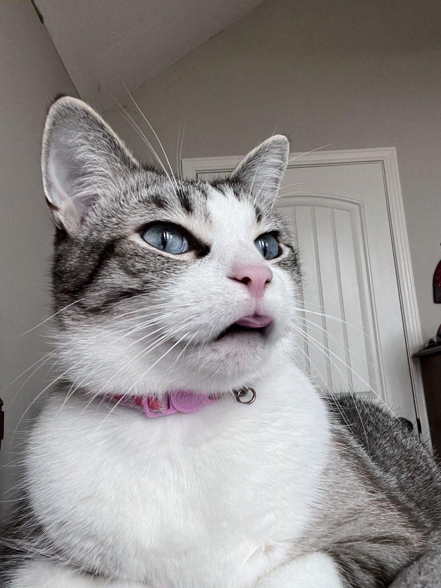 shelly ♡ tweet media