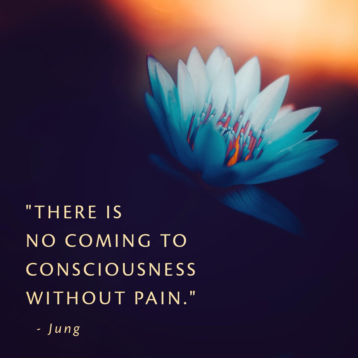 Michael Meade tweet media