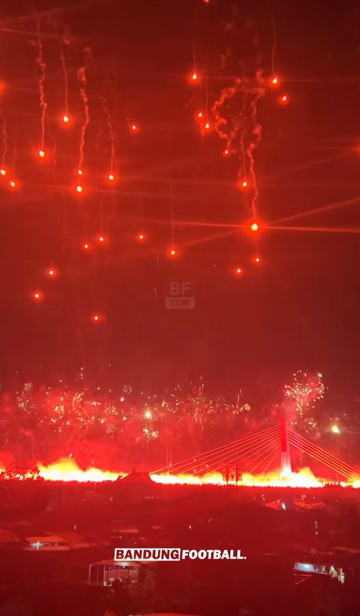 Elianto Reijnders tweet media