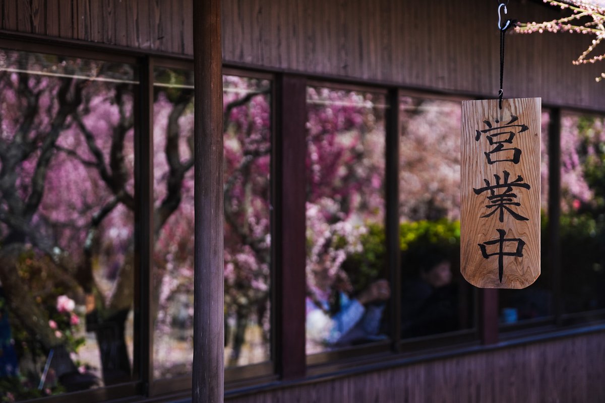 Miefujicco's tweet photo. 結城神社

#三重県　#津市　#sonyalpha https://t.co/oFwcfhY60M