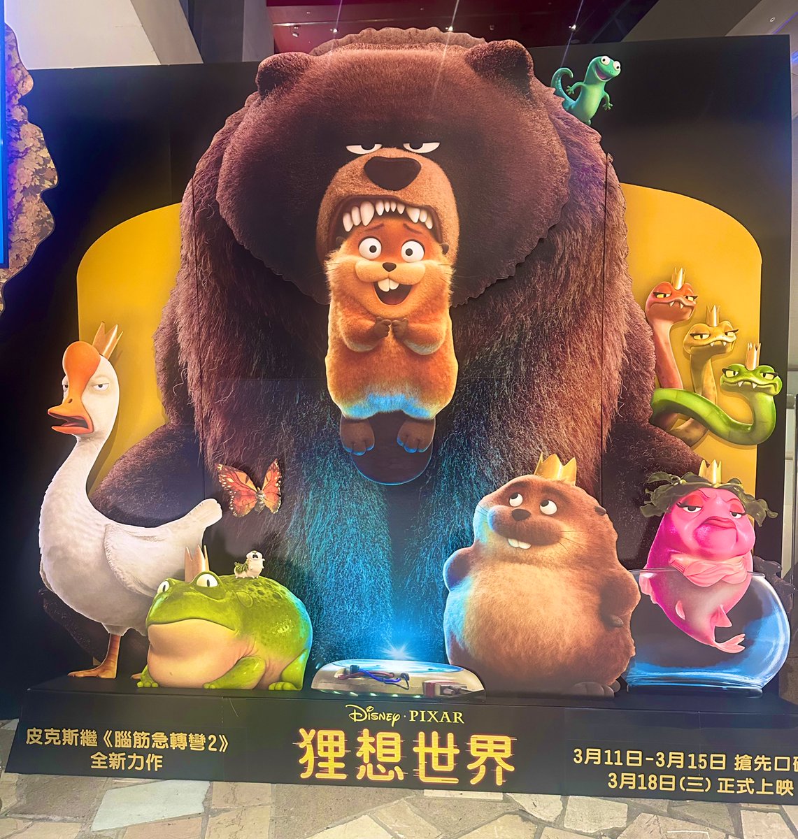 小白兔🐰🐰🐰🐰 tweet media