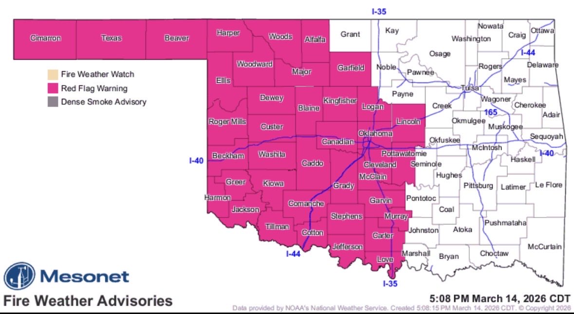 Emily Sutton tweet media