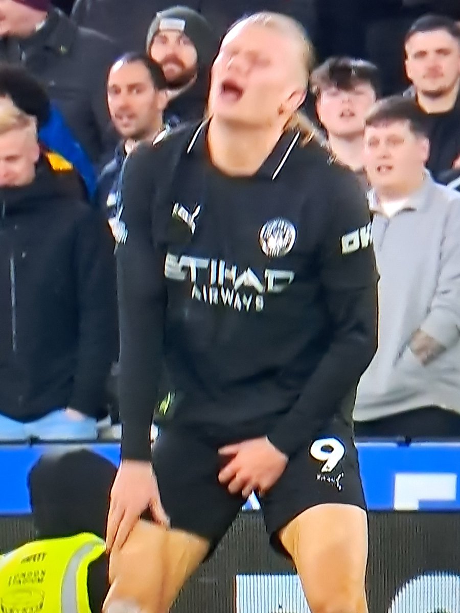 osteogenesis tweet media