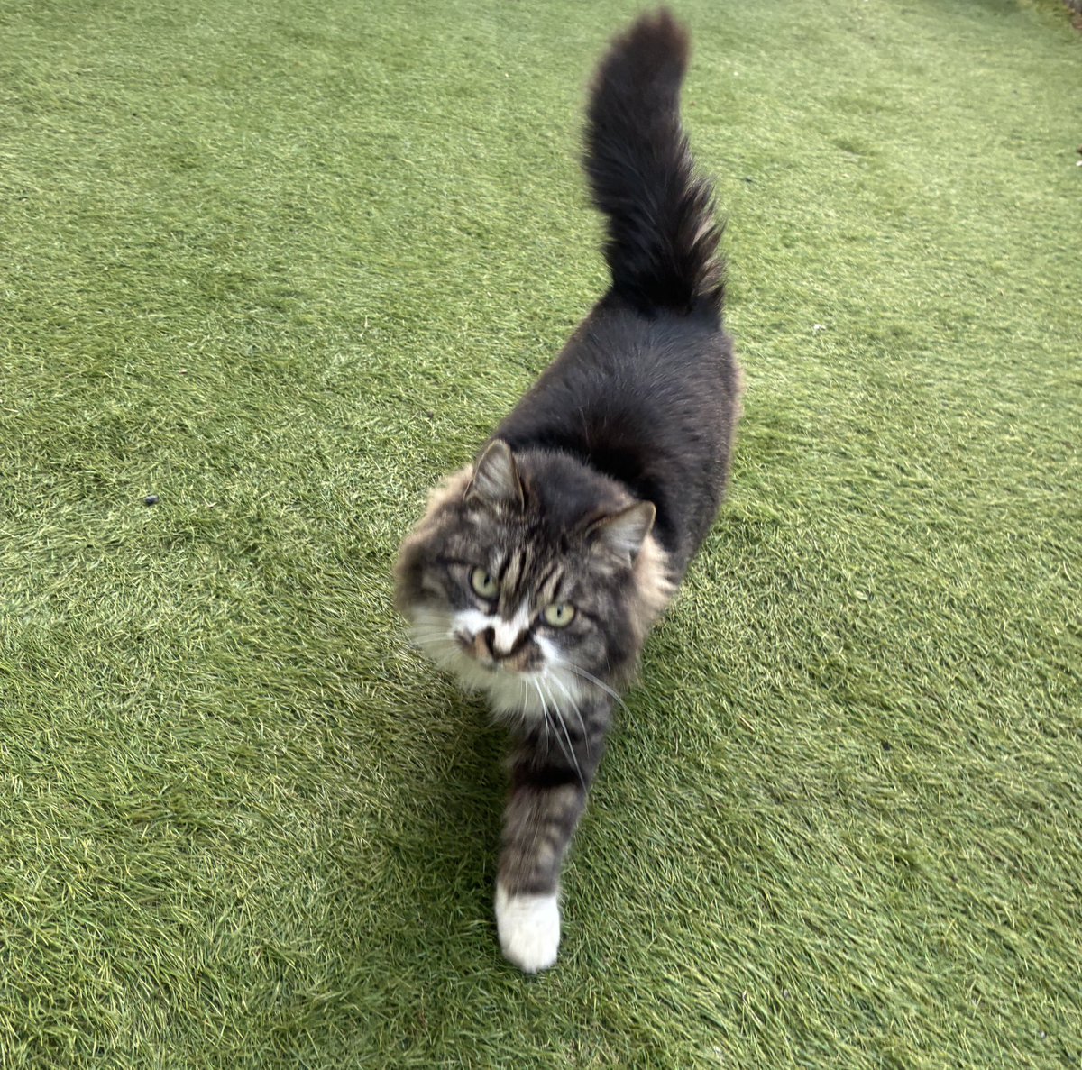 菅和範 tweet media