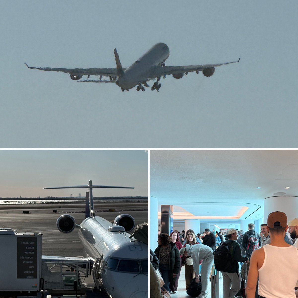 Vince Vitrano tweet media