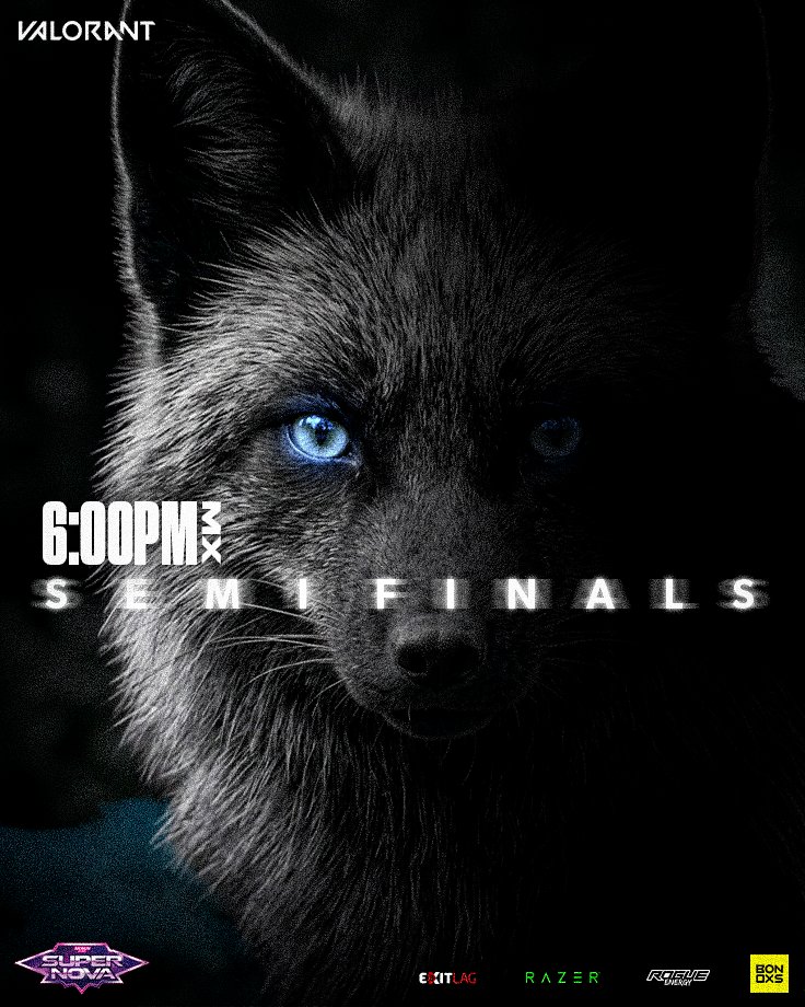 KITZUNE DIVISION tweet media