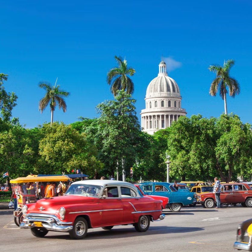 ✦✦✦ 𝙿𝚊𝚖𝚙𝚑𝚕𝚎𝚝𝚜 ✦✦✦ tweet media