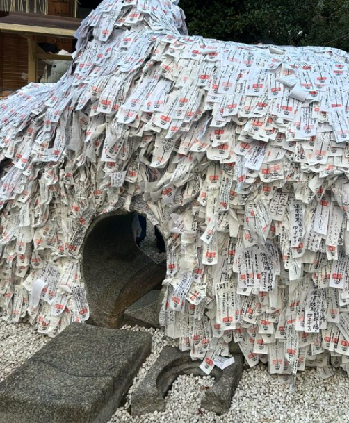 アオ【白兎霊視占い師】 tweet media