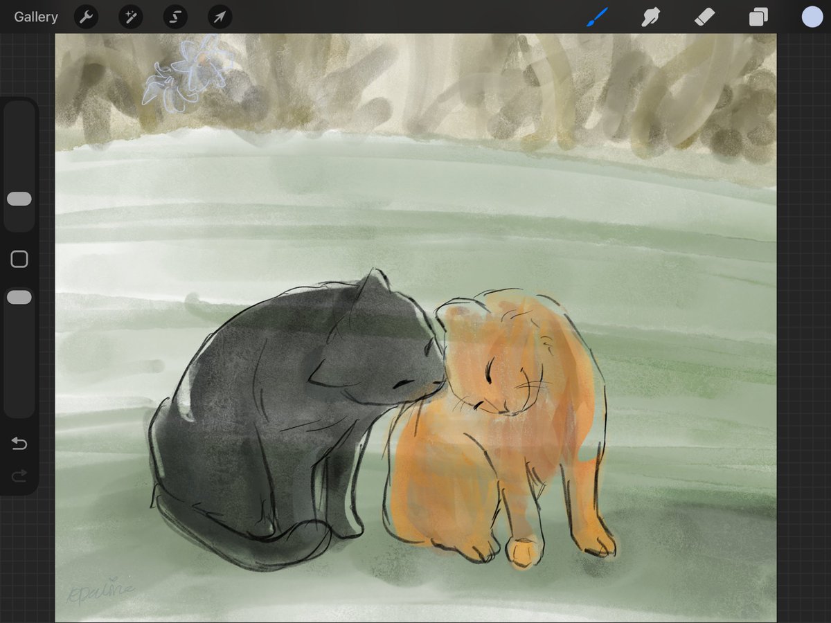 ₍^. .^₎⟆ 🫧😡 tweet media