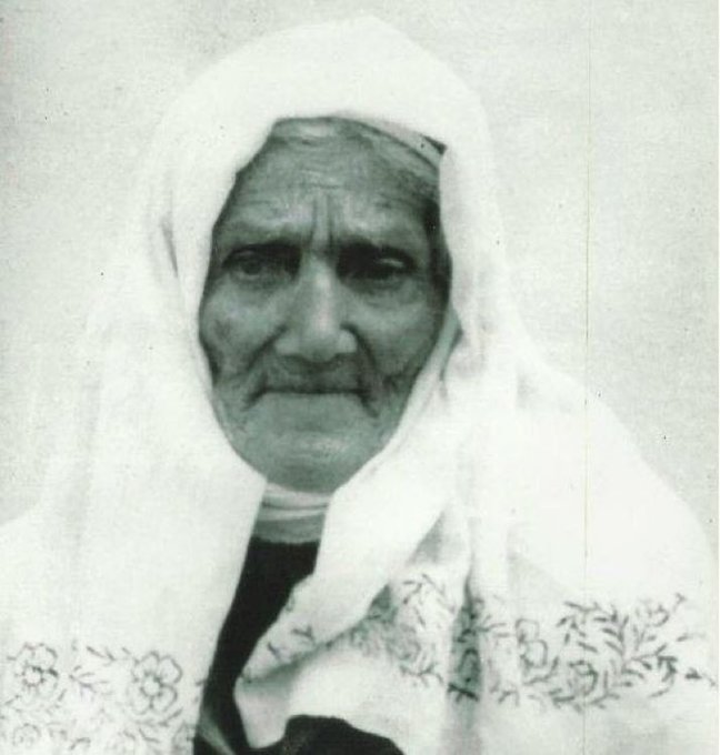 Türk'ün Dünyası tweet media