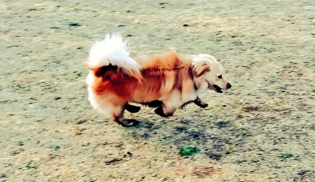 おキャノ坊🤪 tweet media